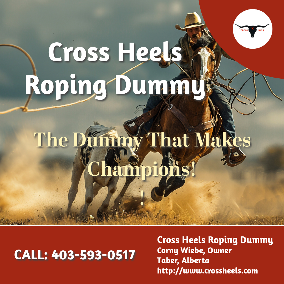 Learn how to choose the right horse for beginners in roping dummy training with expert tips from Cross Heels.